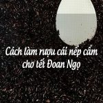 Cách làm rượu cái nếp cẩm cho ngày Tết Đoan Ngọ